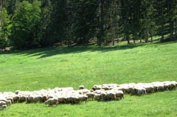 Poljska Privát Zakopane, Eksterijer